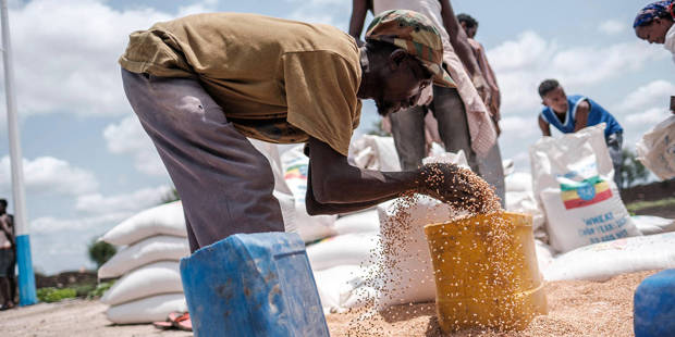 fofack21_EDUARDO SOTERASAFP via Getty Images_ethiopiawheat