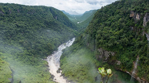 duquemarquez2_ArterraMarica van der MeerUniversal Images Group via Getty Images_guyana