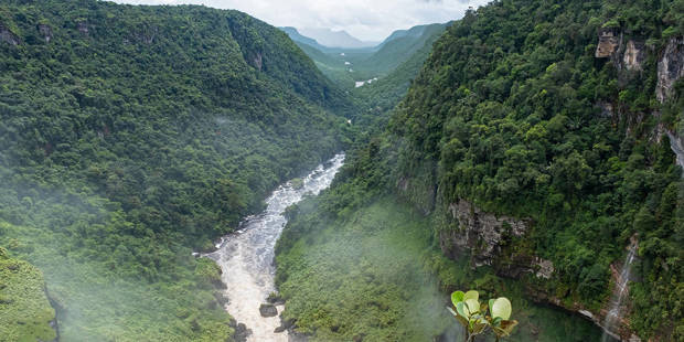 duquemarquez2_ArterraMarica van der MeerUniversal Images Group via Getty Images_guyana